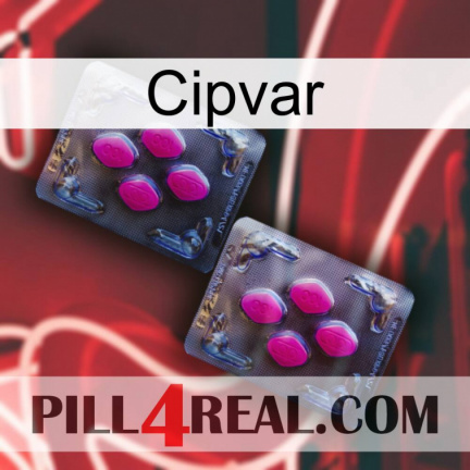 Cipvar 01